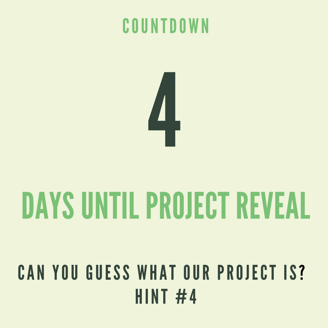 UCLiGEM's tweet photo. 💥 4 days until project reveal!! 💥

Let's look in detail at @ecovative! They manufacture fake leather, packagings, slippers..., all using mycelium (root system of mushrooms). Cool right?

Check them and other companies out!
- Ecovative
- Biomason @Biomason 
- Biohm @biohmhome https://t.co/MYnhpLoTMz