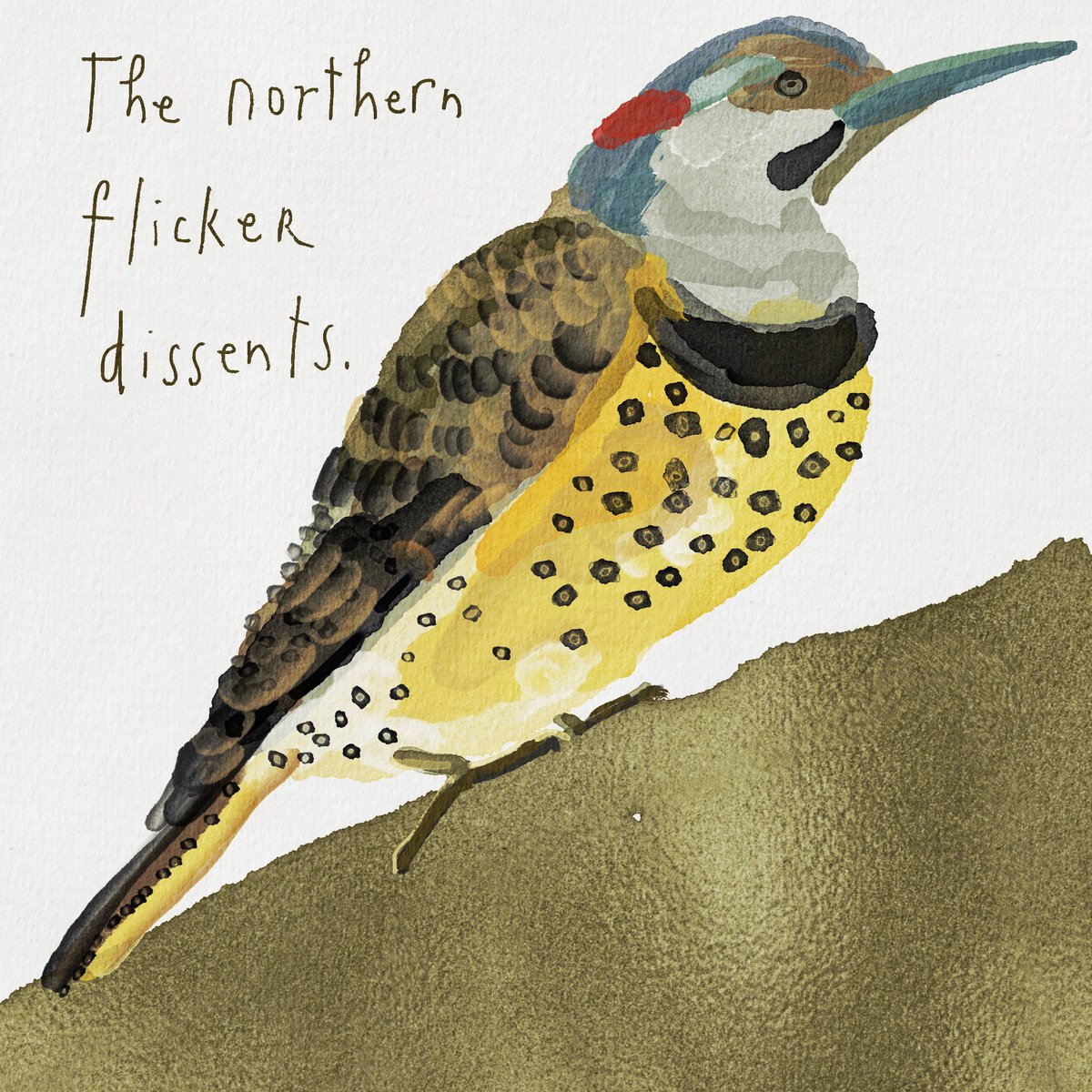 Kelcey Ervick tweet media