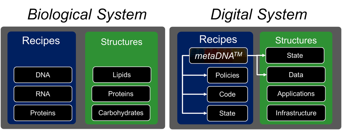 Tyler_J_J's tweet photo. @nyike @rwang0 @vGazza It helps to think more about DNA than a simple blueprint. Transcription and translation encode both protein structure and the processes required. #metaDNA encodes both as well. #CIOchat https://t.co/6tepn96qfe