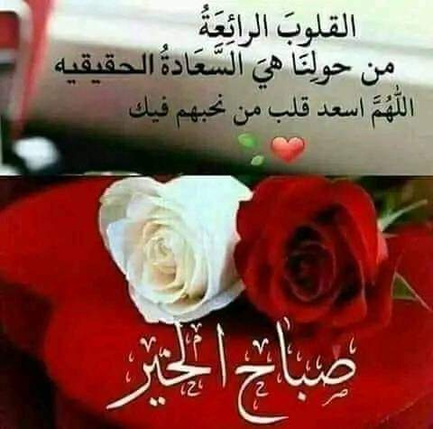 @ameerrsamt ستظل سرا بين قلبي وروحي....
وستظل رمزاً بين حرووفي وكلماتي ...... 
يراك الجميع شخصاً وأنا أراك روحاً ونبضاً ...
يقرؤونك حرفاً. وأنت بداخلي روايه  لاتنتهي ...
روعاتك.... أصدق الحروف التي لم نبوح بها
خوف ان تجرحنا قبل الذين احببناهم
همسك راقي
سيدي💕🦋