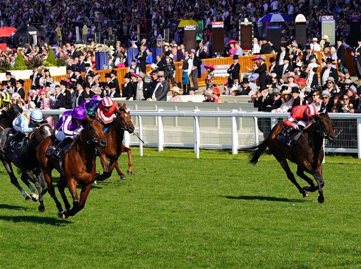 racingblogger's tweet photo. 💷 If ROCKET RODNEY wins the 1.05 at Sandown tomorrow I'll give £50 CASH to one of you lucky people! 🚀

To Enter: 👇

1️⃣ RT this Tweet
2️⃣ Follow @racingblogger

📸 https://t.co/9HUhvMfNLu

#Twitter #Horses #Wimbledon 💫 https://t.co/bc1EK6wCh2