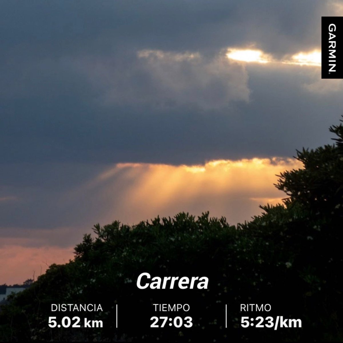 Run_Runner_'s tweet image. 5 kms para que no duela …