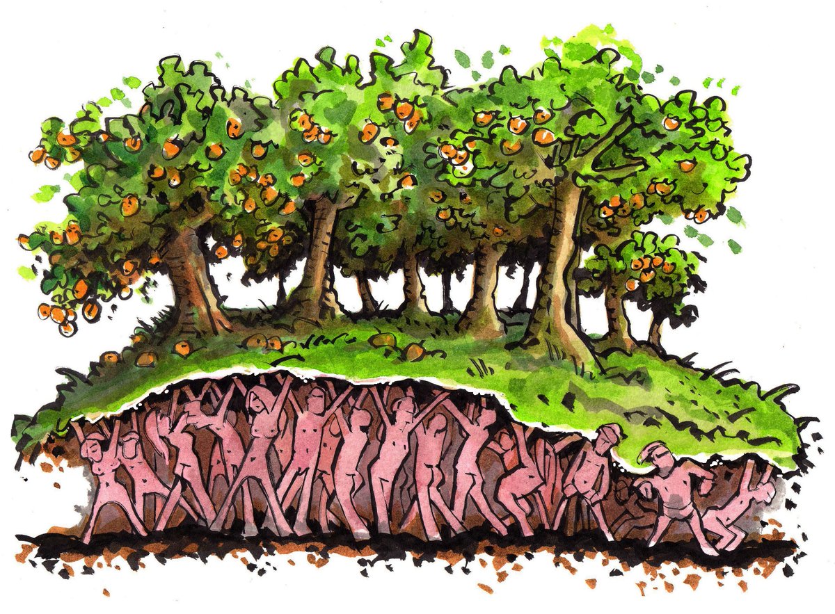 Marian Stuiver (@marianstuiver) on Twitter photo 