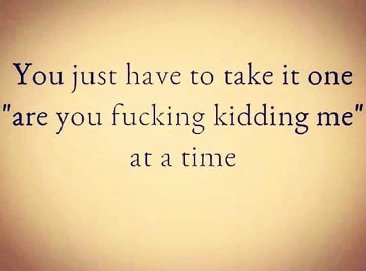 RuWatjen's tweet image. ...baby steps...🕳️