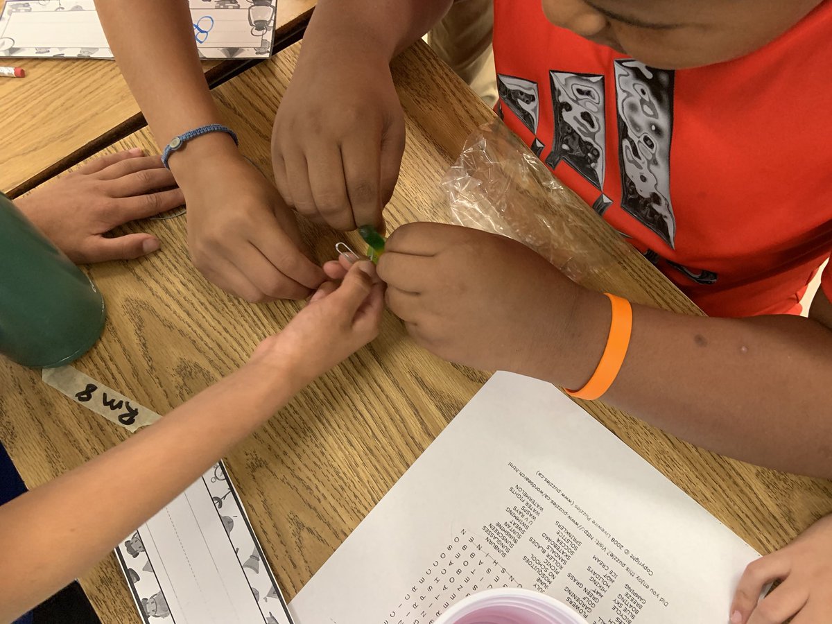 MrsHollyDES's tweet photo. I’m teaching summer academy at YES with two awesome teachers.We started the week with a team building activity ( Save Fred) with our 4th graders. Today I received this postcard during our staff huddle. #Weareallonthesameteam @YCSD @Mr_Friedman1 https://t.co/CNYqHDvB7o