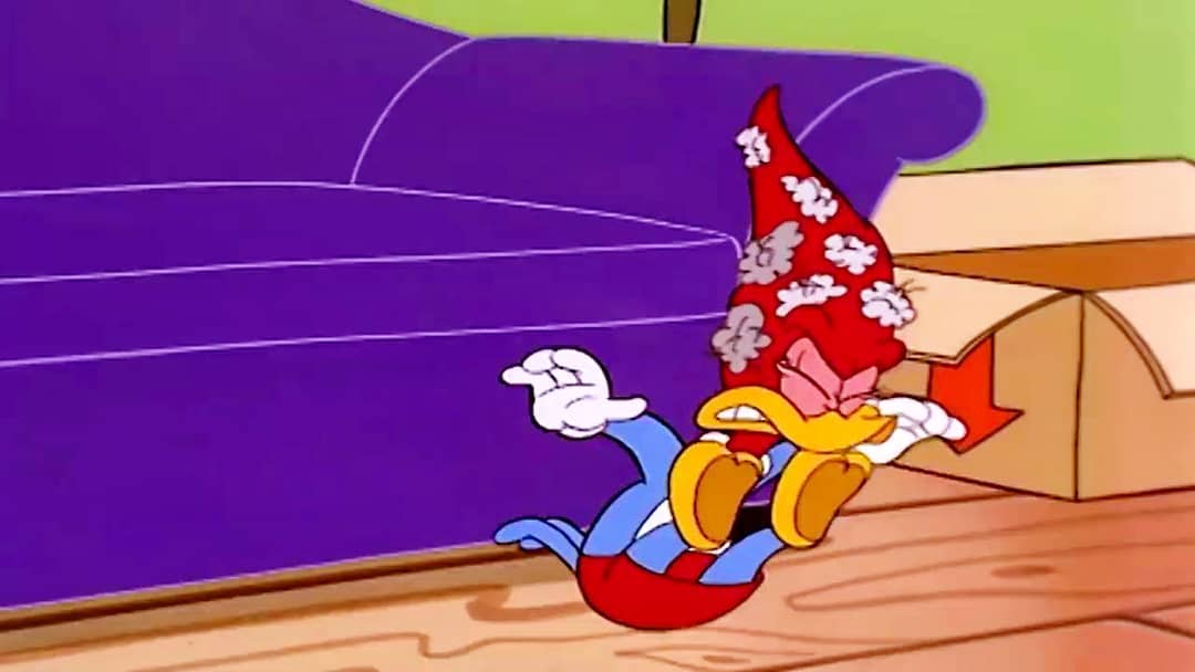 WoodpeckerLoco's tweet photo. Me pregunto cómo Winnie llegó a mi sofá. https://t.co/K8NYczEPuf