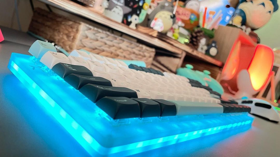 Womier_keyboard's tweet photo. I love those leafy details, its natural color and those RGB colors! --womier customer
Picture credit to 📷 @cozy_madu⭐
#womier #womierk87 #botanicaltheme #womierkeyboard https://t.co/5FCPhybWVC