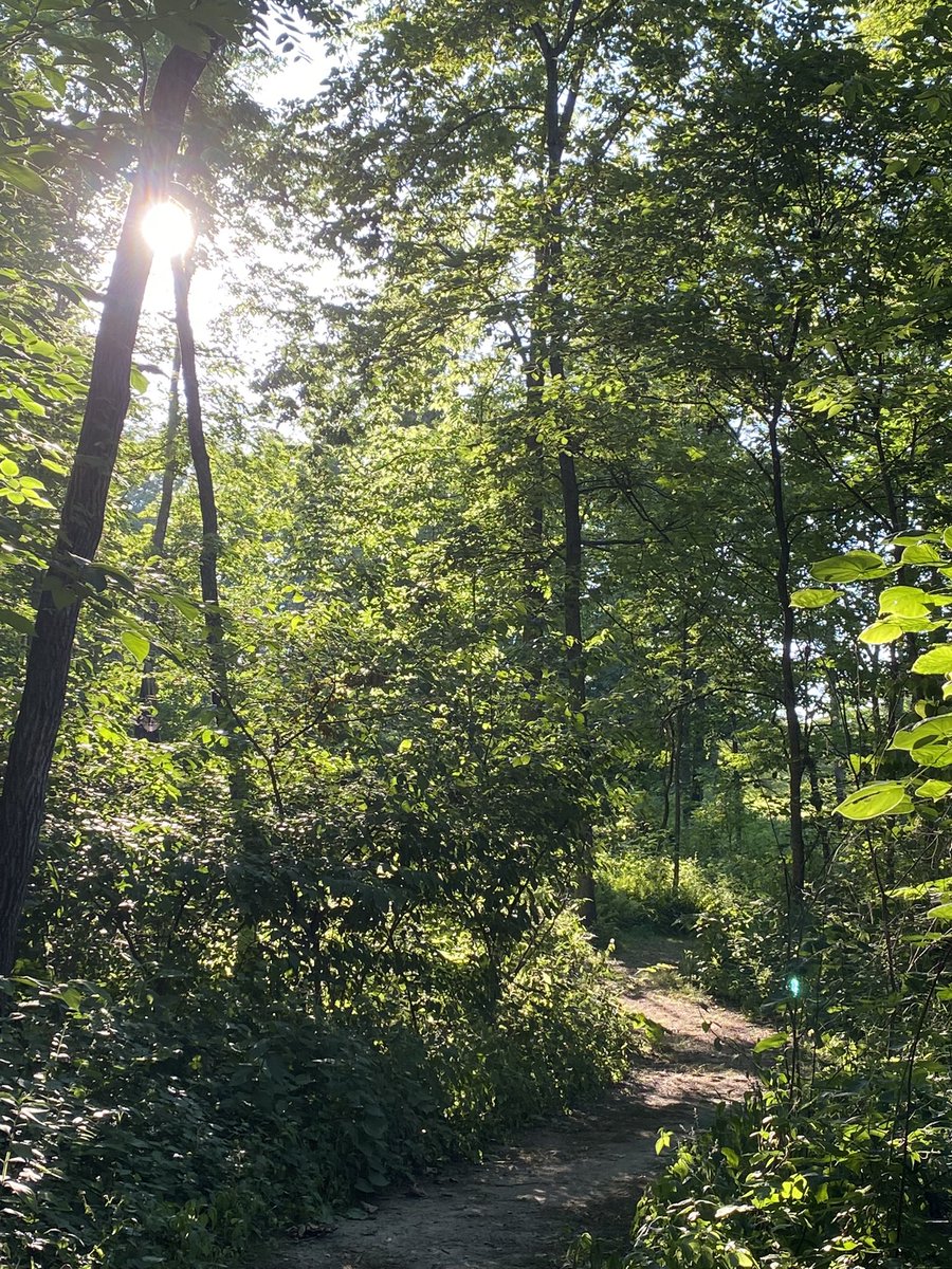 Fred Wellman tweet media