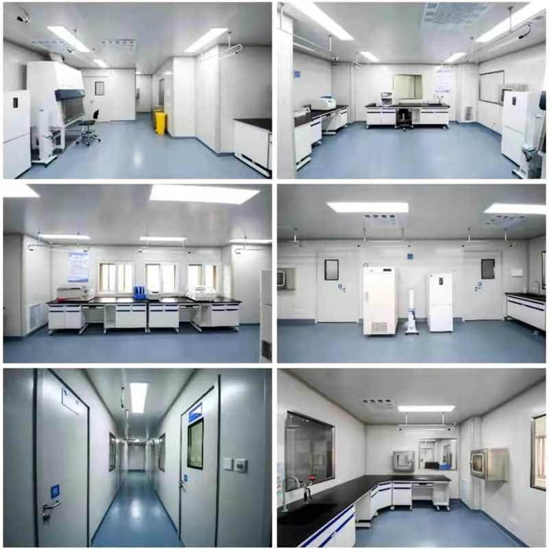 Sybil_biobase's tweet image. we BIOBASE provide one-stop purchase, medical and lab equip
api.whatsapp.com/send?phone=861…
Sybil Guo
waiting for you inquiry🥰
#labsupply #labdistributor #labinstrument #laboratory #medicalequipment #medicalsupply #medicalinstrument #medicalequipmentsupply #medical #Airproduct