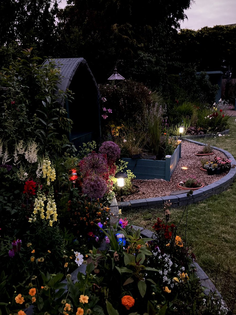 Ayrgardener2021's tweet image. #asthenightrollsin lovely evening and the bats are out #GardeningTwitter