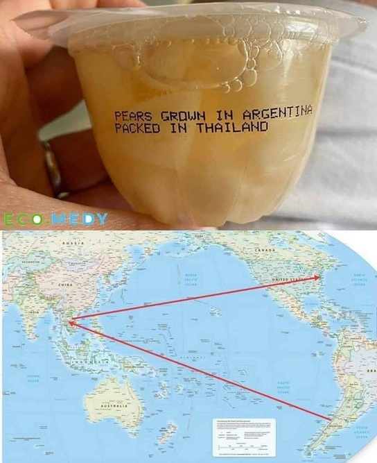 zei_squirrel's tweet image. &quot;capitalism is efficient&quot;