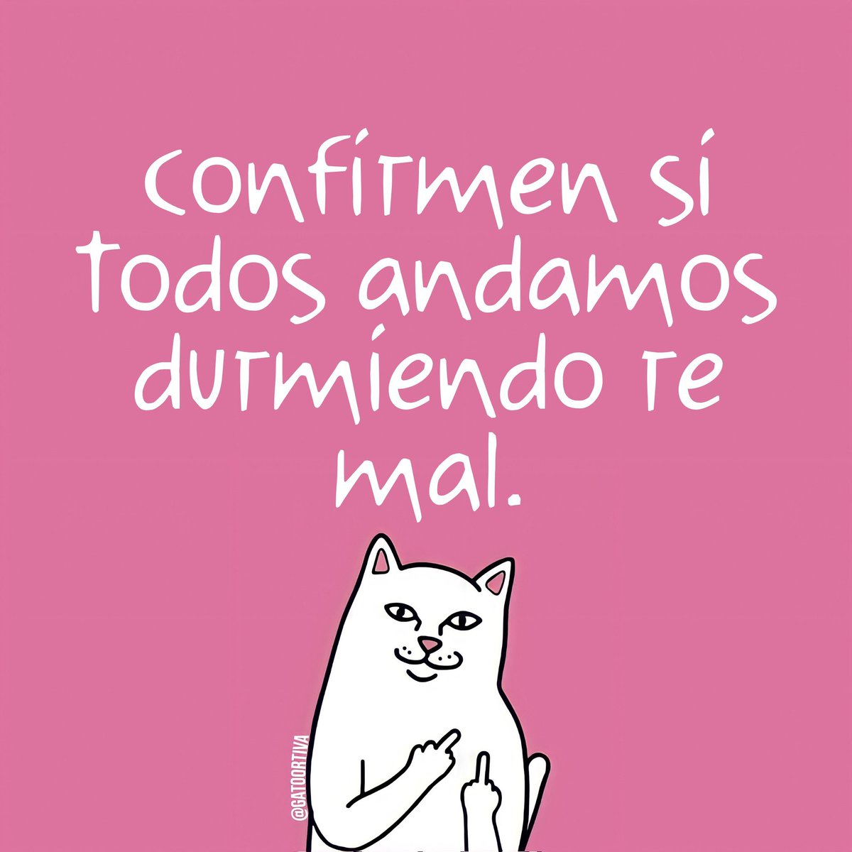 Gato Ortiva (@elgatoortiva) on Twitter photo 