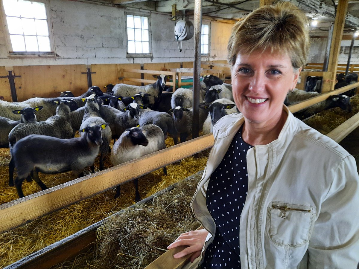 mclaudebibeau's tweet photo. Nos éleveur.euse.s de moutons, d’agneaux &amp; de brebis ont le vent dans les voiles.

Pour les soutenir, on investit avec Les Éleveurs d’ovins du Québec afin de créer un outil qui aidera à améliorer l’efficacité &amp; la compétitivité du secteur. https://t.co/z6Sg7z41IJ