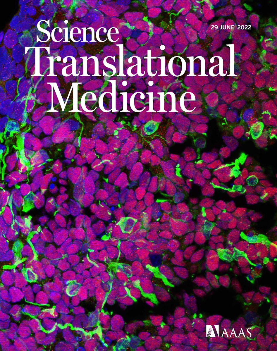 ScienceTM's tweet photo. Don't miss this week's new issue of Science Translational Medicine! https://t.co/XaZ26Eayer https://t.co/UFIm2iBWVH