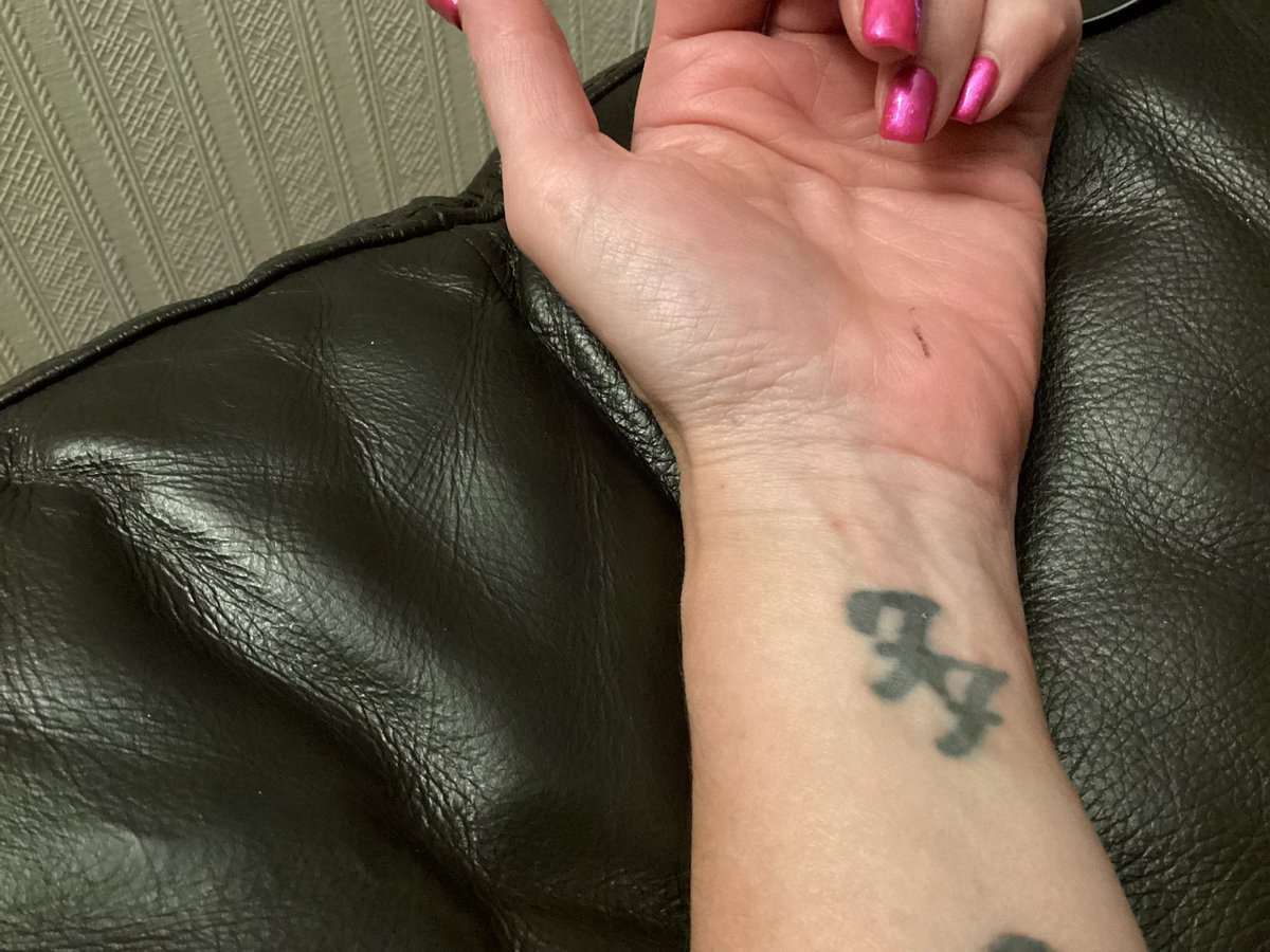 kirsty maskill 💙 tweet media