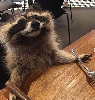Maybe if what if um I uh maybe mayhaps perhaps raccooninnit-

(I would be very surprised if this hasn’t been done)