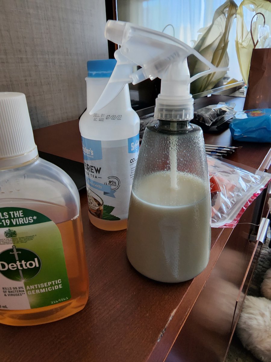 Forbidden Milk tea??? 🤣