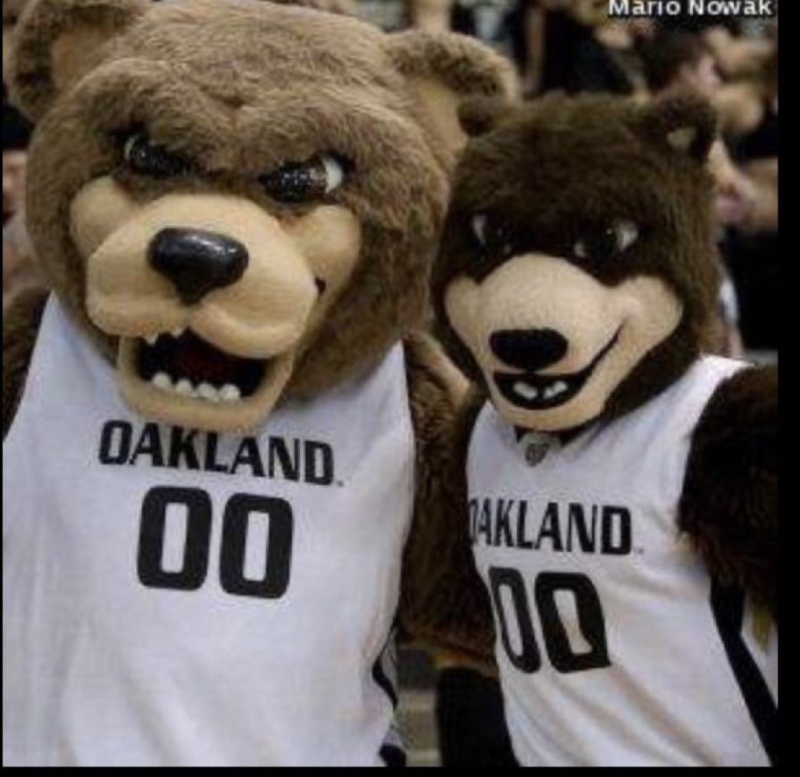 JoePizzo313's tweet photo. @OaklandMBB @therealgideonb1 https://t.co/Og3Ok4WFk0