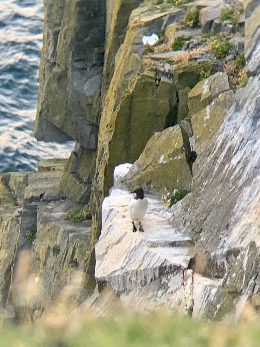 Robert Fisher tweet media