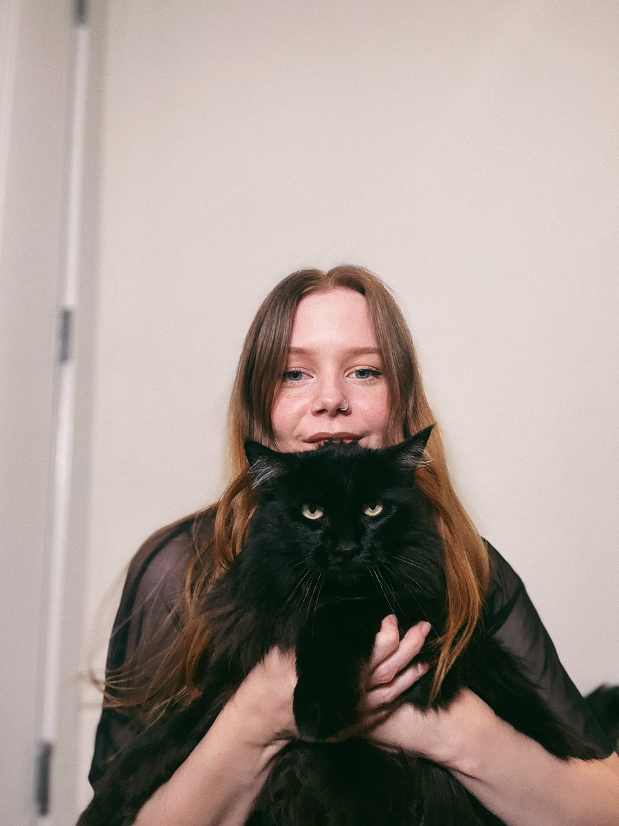 sarahmhawkinson's tweet photo. when in doubt photoshoot with cat https://t.co/i8oYHo9aaN