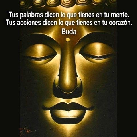 DelValleGreen's tweet photo. Feliz tarde &amp; noche https://t.co/0wv0AHDn7b