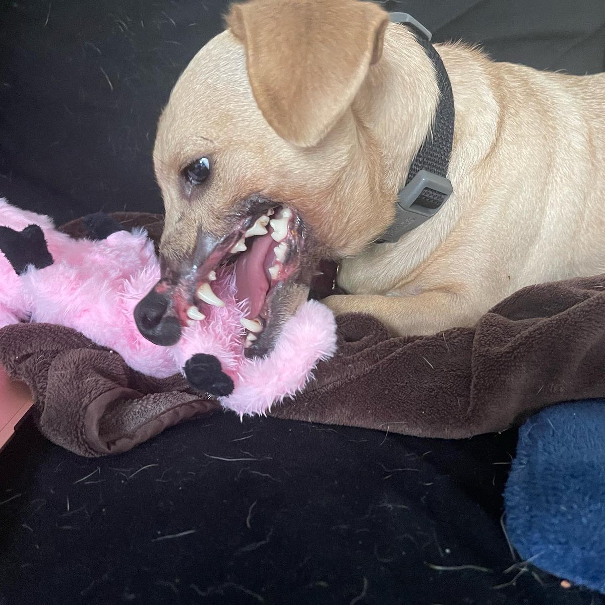 An abundance of gifts and a glow up ❤️❤️❤️❤️❤️❤️