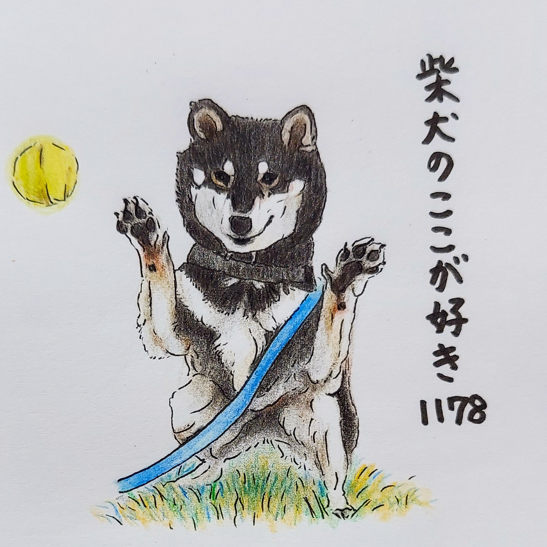 ここ柴 Kokoshibamariko Twitter