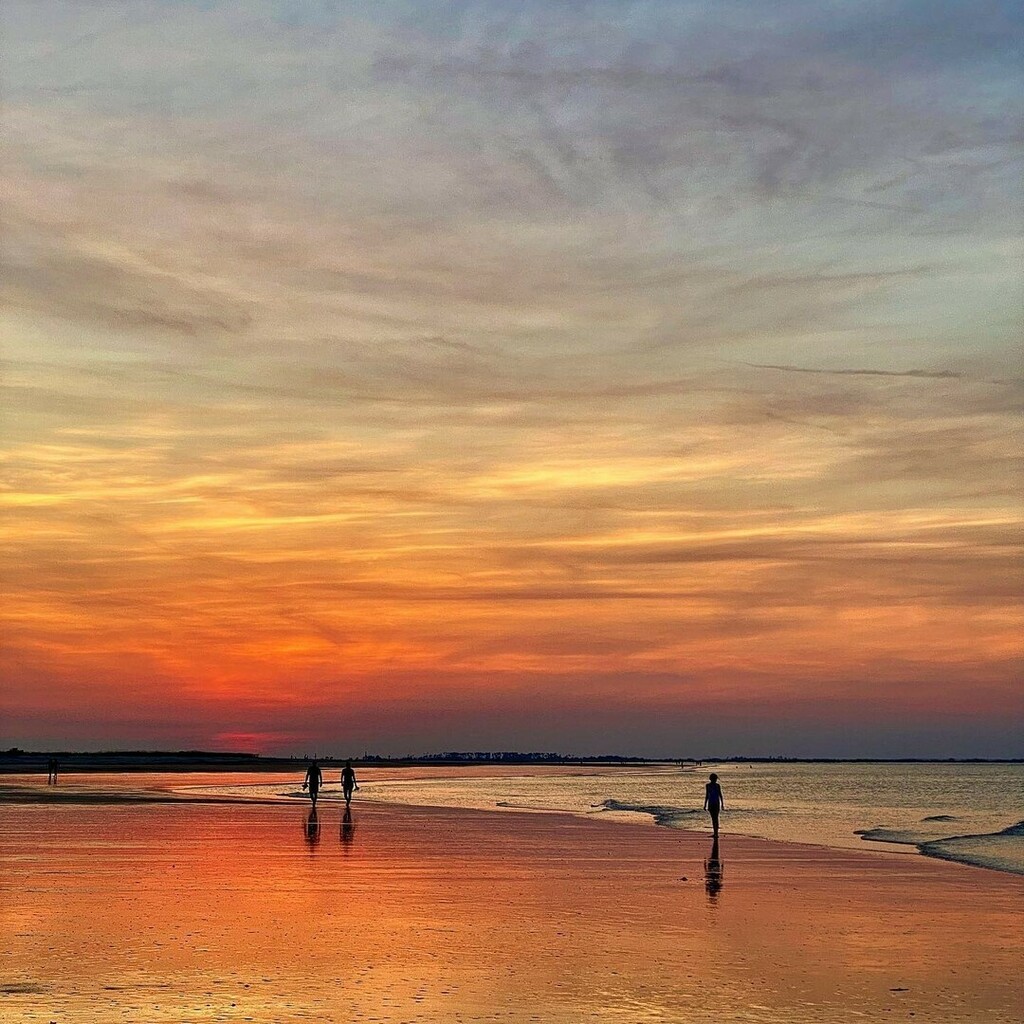 The beach is calling and I must go. #VisitTybee [📸 @ladyglitch619] 
.
.
.
#tybeeisland #tybee #tybeebeach #savannahsbeach #tybeeislandbeach  #exploregeorgia #georgiacoast #coastalliving #saltlife #clpicks #mysouthernliving #tlpicks #sltravels #tybeestrong #beachwalk #sunrise…