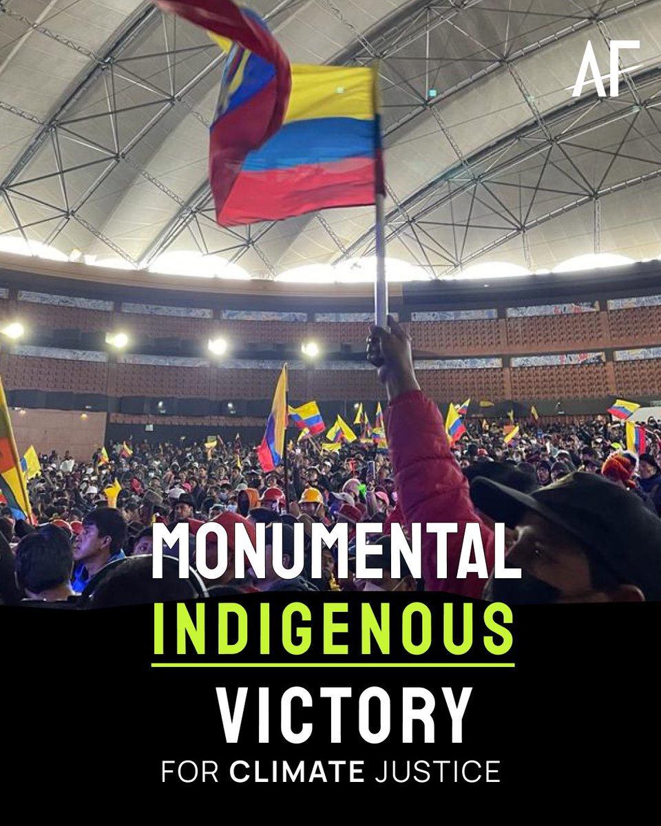 AFrontlines (@afrontlines) on Twitter photo 🎉Historic Indigenous Victory: Oil & Mining Boom Halted in Ecuadorian Amazon! <a href="/LassoGuillermo/">Guillermo Lasso</a> agreed to adhere to 2 of the Indigenous movement’s demands - reform Decree 151 aimed to fast track mining & retract Decree 95 aimed to double oil production in Indigenous territories. 🎉Historic Indigenous Victory: Oil & Mining Boom Halted in Ecuadorian Amazon! <a href="/LassoGuillermo/">Guillermo Lasso</a> agreed to adhere to 2 of the Indigenous movement’s demands - reform Decree 151 aimed to fast track mining & retract Decree 95 aimed to double oil production in Indigenous territories.