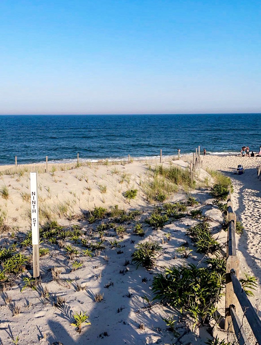 Emily Jakimowicz tweet media