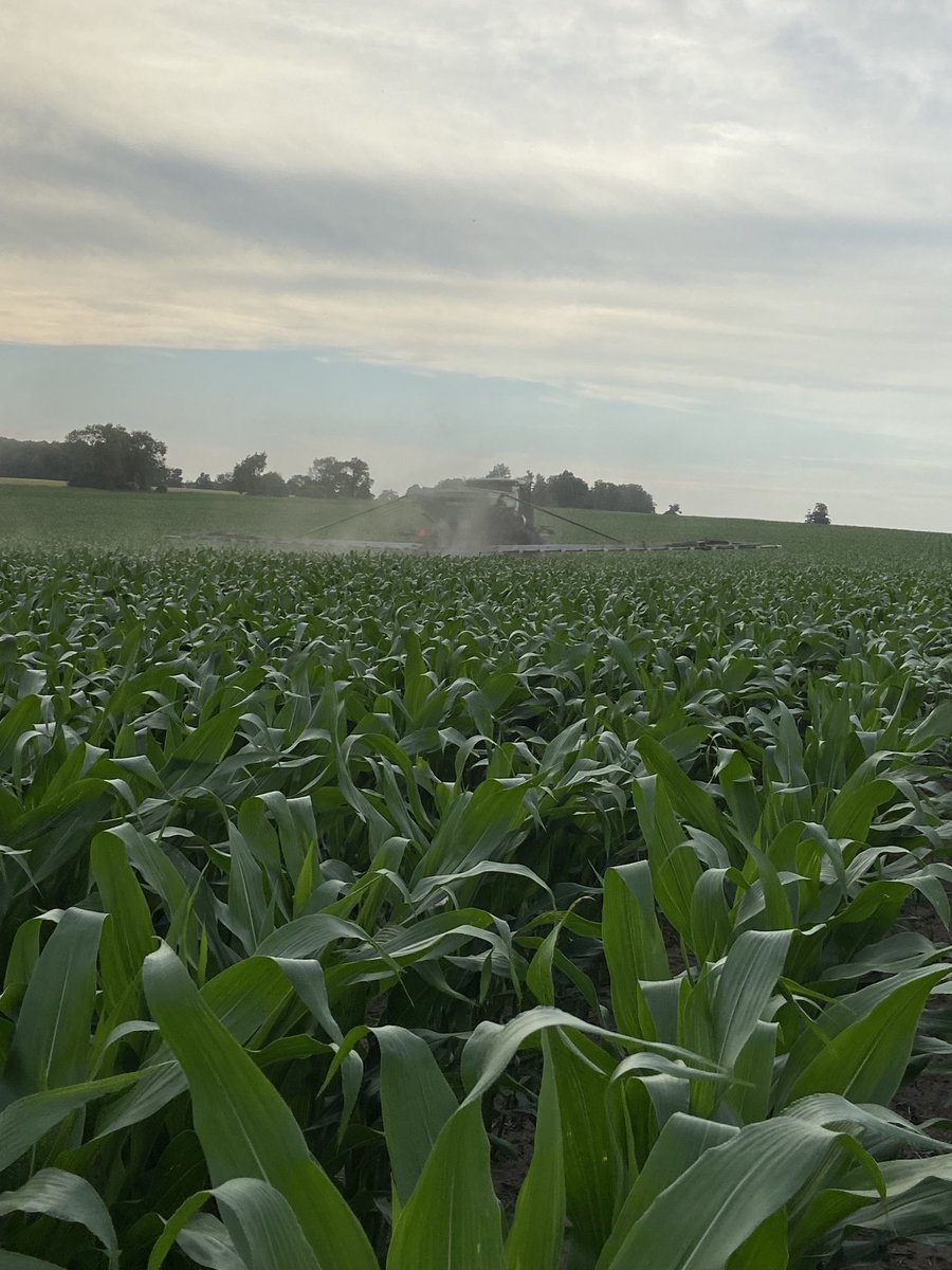 michael sharpe tweet media