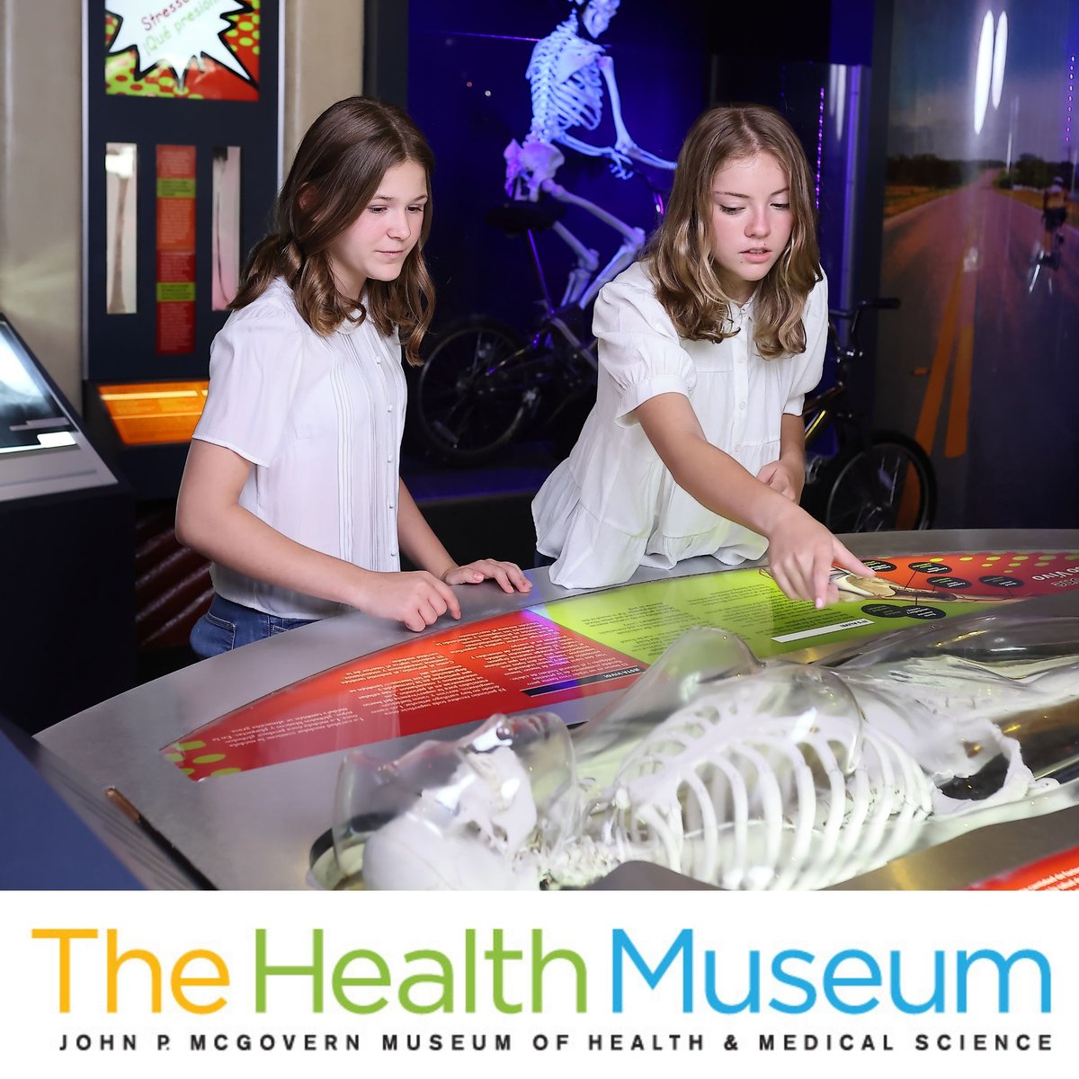 The Health Museum (@thehealthmuseum) on Twitter photo Where can you keep the brain hot & stay cool? <a href="/thehealthmuseum/">The Health Museum</a>, of course. We offer sizzling STEM activities staving off learning loss in cool air. For $85, a family membership has you covered all summer (beyond) Now how's that for climate control?
bit.ly/2YsAThf Where can you keep the brain hot & stay cool? <a href="/thehealthmuseum/">The Health Museum</a>, of course. We offer sizzling STEM activities staving off learning loss in cool air. For $85, a family membership has you covered all summer (beyond) Now how's that for climate control?
bit.ly/2YsAThf
