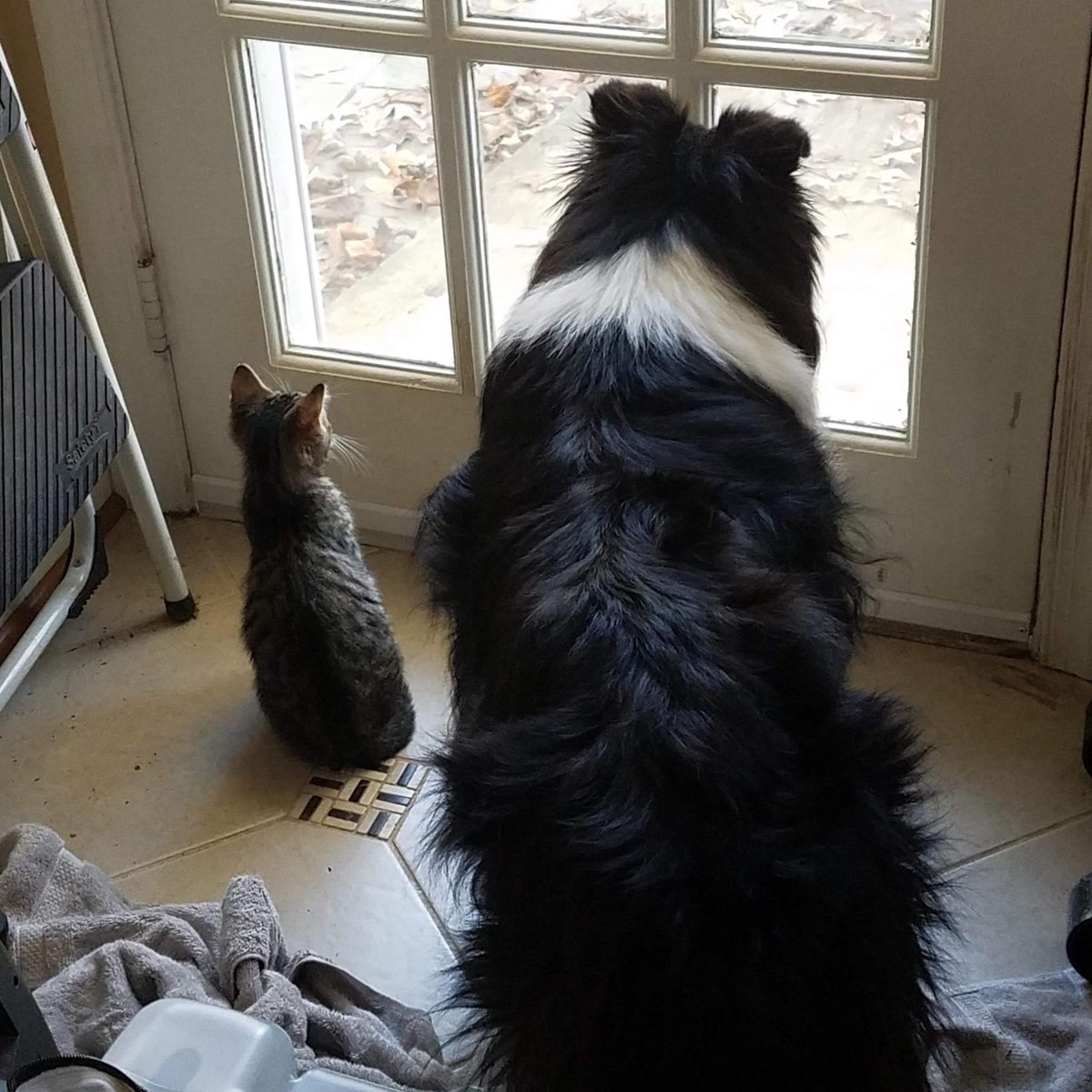 Drew Turner tweet media