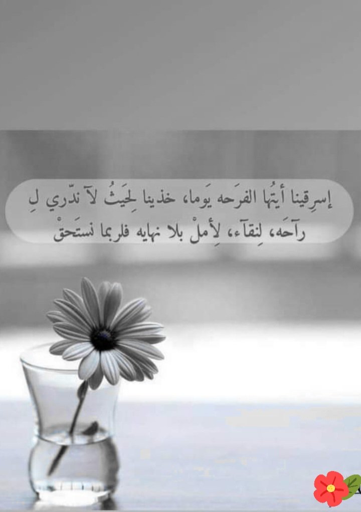 اسير الصمت (@moonm399) on Twitter photo 