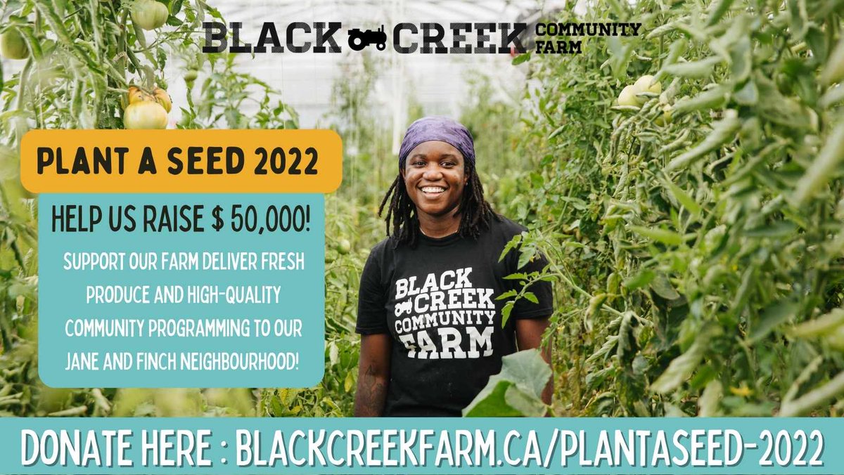 Black Creek Community Farm tweet media