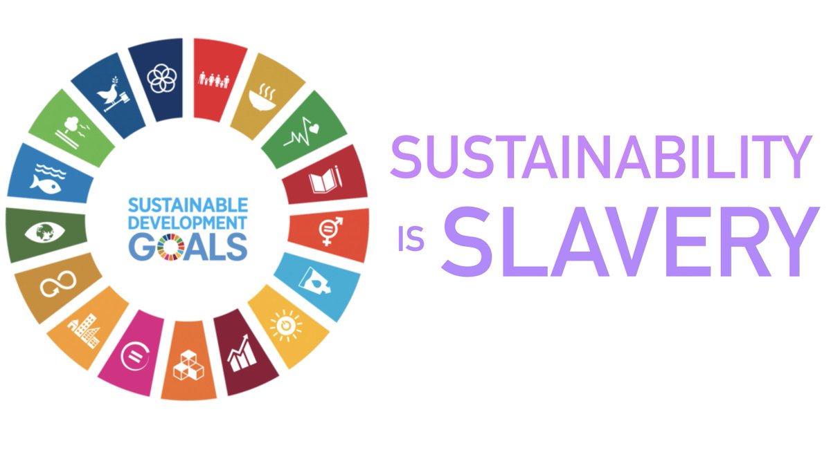 SovMichael's tweet image. Share everywhere