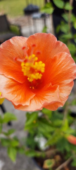 So pretty 🥺 https://t.co/LmIXSpLEt5<a href="/tag/hottie"class="tags"><span>#hottie</span></a><a href="/tag/goddess"class="tags"><span>#goddess</span></a><a href="/tag/babe"class="tags"><span>#babe</span></a><a href="/tag/paypig"class="tags"><span>#paypig</span></a><a href="/tag/worshipme"class="tags"><span>#worshipme</span></a><a href="/tag/givemeyourmoney"class="tags"><span>#givemeyourmoney</span></a>