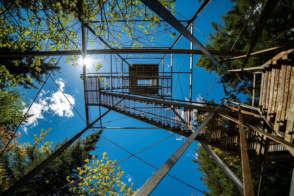 PatrickMWine's tweet photo. The view from the Mt. Kineo watchtower at Moosehead Lake is simply stunning! What a majestic place to hike and truly grow taller than the trees. #maine #hiking https://t.co/1fgVMwtsHf