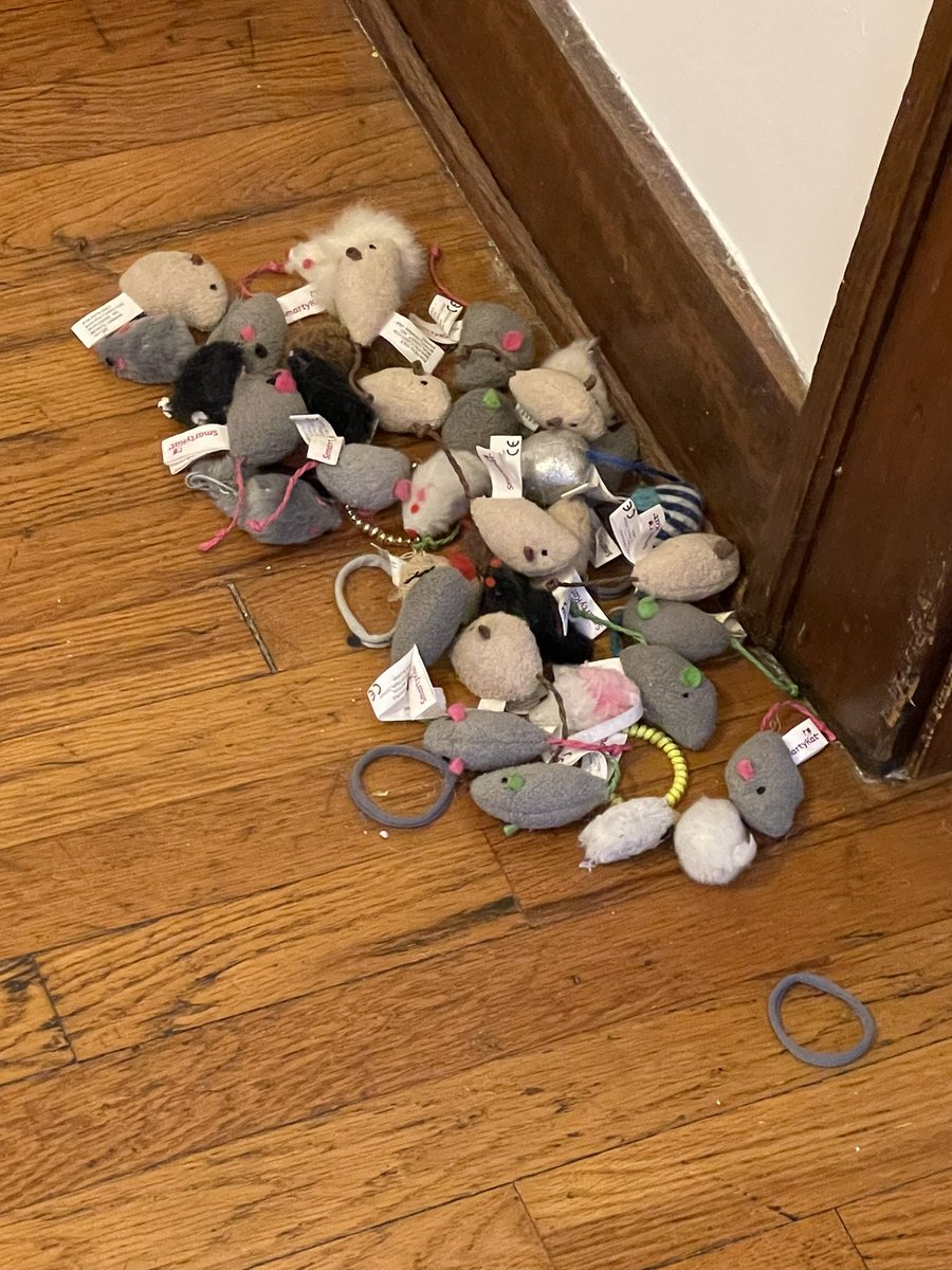 moved the couch and…