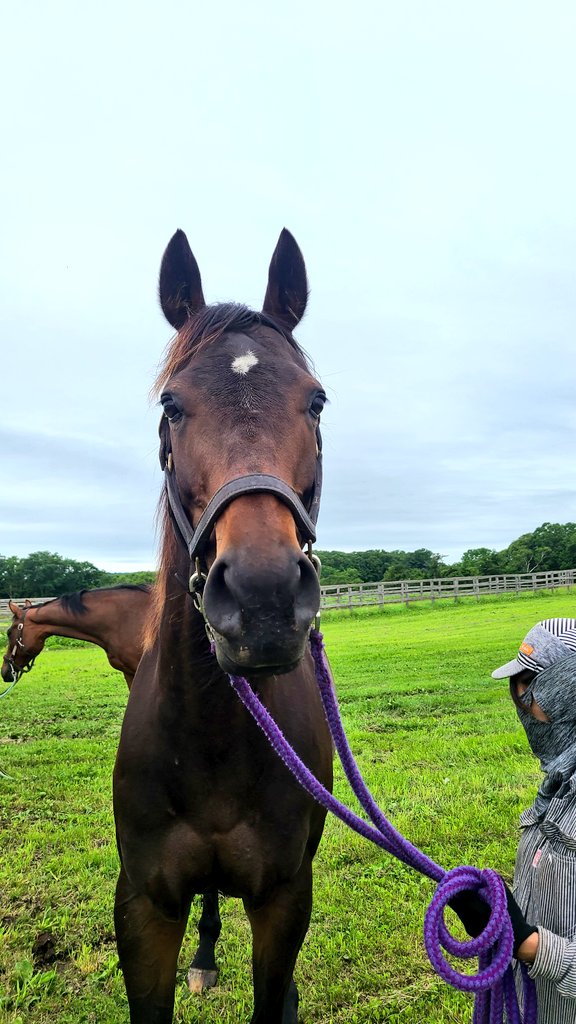 デンセツノマジョ!
サンバさんで繁殖入りなんですね!
これは初勝利の時の直線でデンセツノマジョの伸び脚にニヤッ😏とするノリさん
重賞馬ウキヨノカゼの全妹ですし、楽しみです!