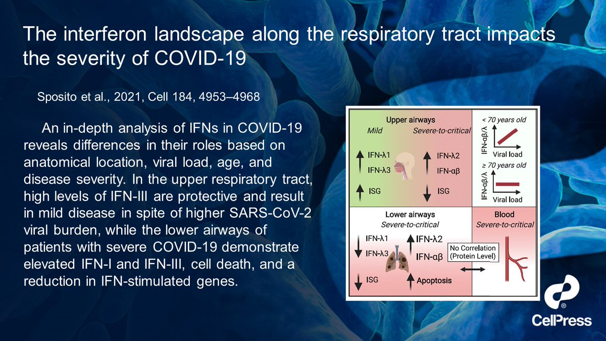 cellhostmicrobe's tweet photo. The good and bad of #interferon @Cellcellpress @BennieSposito @achillebro Andreas Wack, Nicasio Mancini @Lo_Zanzi et al. #KSViralImmunity22 #KSRespiratoryVirus22 #CellPressMicro
https://t.co/LuAHWMp8AT https://t.co/3CNR5WTNw8