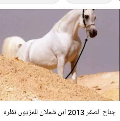 #صورة_ملف_شخصي_جديدة