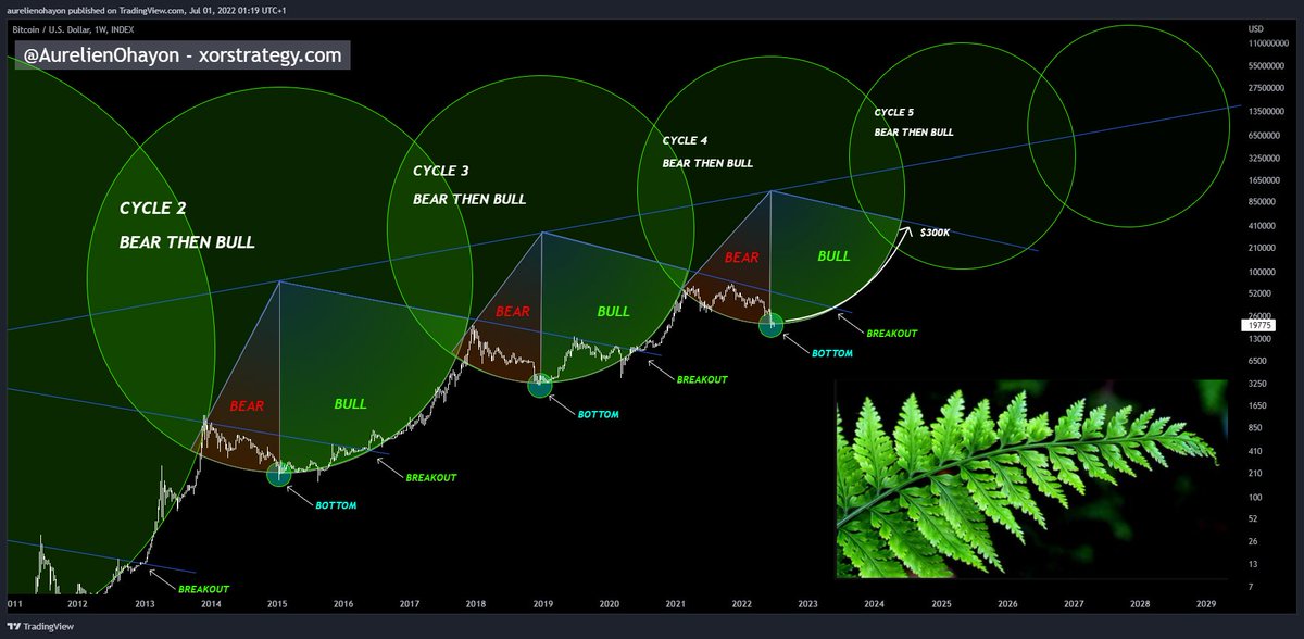 AO_btc_analyst's tweet photo. #Bitcoin is as powerful as nature itself. 

Bull Runs are unstoppable. https://t.co/BYbBmY1NmD