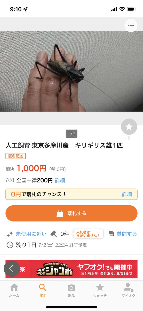 ヤフオクで売られてるこれ、東京多摩川産とは書いてあるけど、中国に