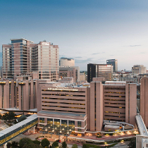 Myeloma_Doc's tweet photo. Positions available in the MD Anderson Cancer Center (@MDAndersonNews) Department of #Lymphoma &amp; #Myeloma Fellowship Program for 2023 (starting July 1, 2023). Application deadline is September 30, 2022. Be part of Making Cancer History! Please RT. #mmsm 
https://t.co/jtjx17D1Ef https://t.co/Aub056Yeuu