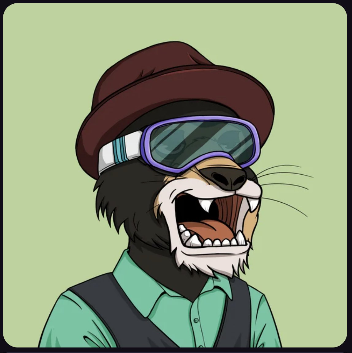 orhan.eth (00:00) tweet media