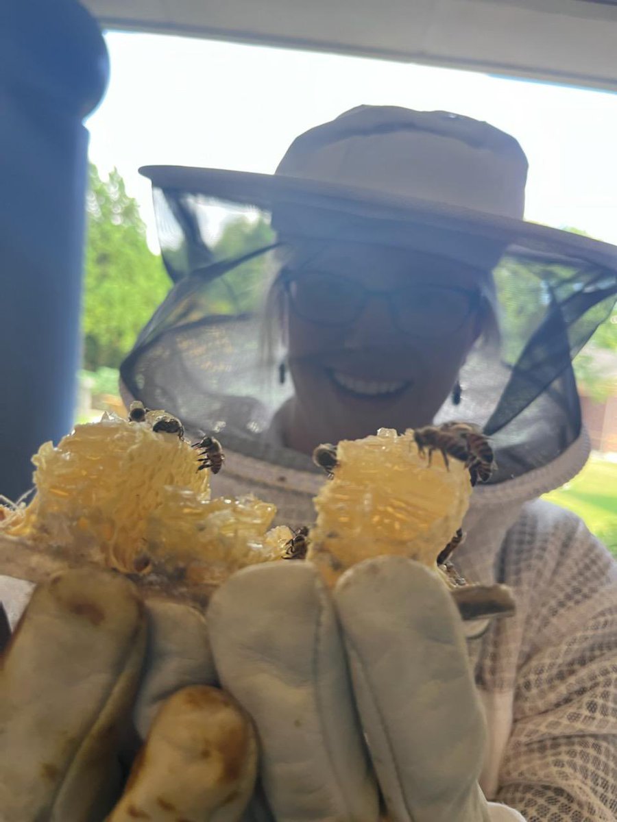 AJinHSV's tweet photo. Un-bee-lievable day at work! We found a huge hive in one of our columns. Thankfully, we found a local beekeeper who is going to relocate the queen and her colony! The honey was SO yummy! 🐝❤️ https://t.co/BRUDjf00GU