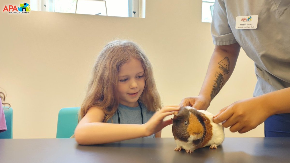 APAofMO's tweet photo. The June 2022 APA Summer Camp was a huge success! We are lucky to have these young animal advocates in our world. Our summer camp sessions are full for this year, but we hope your animal loving kiddos will join us for our 2023 spring or summer camps.
#APA #APAMO #AdoptDontShop https://t.co/HLvmYqdTVg