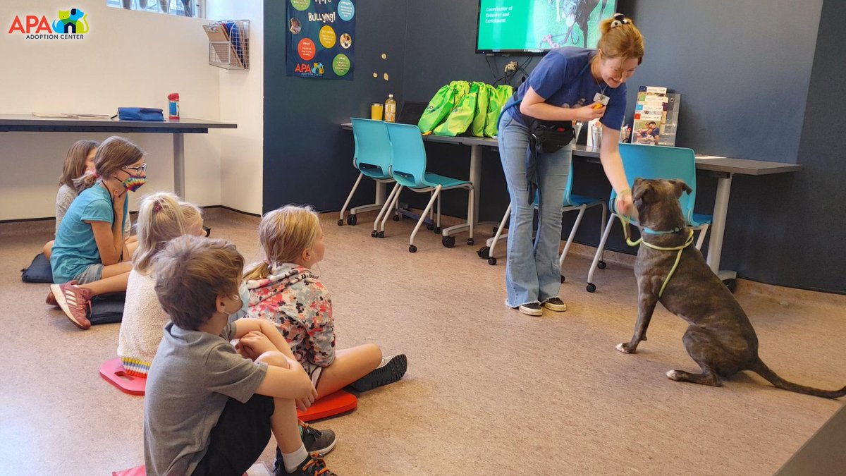 APAofMO's tweet photo. The June 2022 APA Summer Camp was a huge success! We are lucky to have these young animal advocates in our world. Our summer camp sessions are full for this year, but we hope your animal loving kiddos will join us for our 2023 spring or summer camps.
#APA #APAMO #AdoptDontShop https://t.co/HLvmYqdTVg