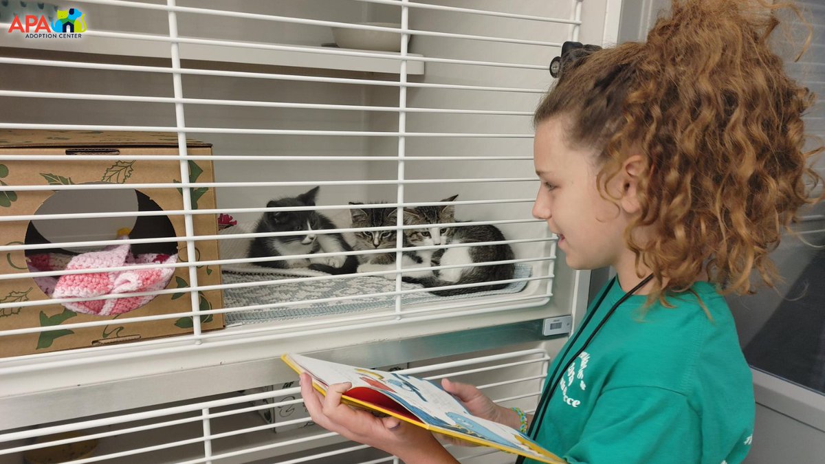 APAofMO's tweet photo. The June 2022 APA Summer Camp was a huge success! We are lucky to have these young animal advocates in our world. Our summer camp sessions are full for this year, but we hope your animal loving kiddos will join us for our 2023 spring or summer camps.
#APA #APAMO #AdoptDontShop https://t.co/HLvmYqdTVg